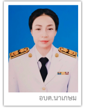 อบต.นาเกษม